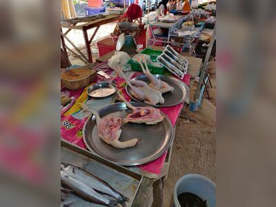 Saturday Market