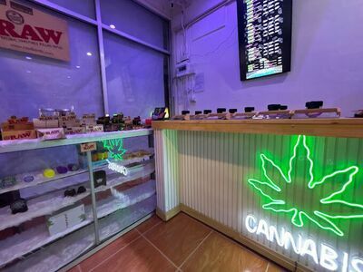 Hippies Land Phi Phi x DANQ Cannabis Dispensary