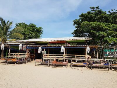 Mushroom Bar