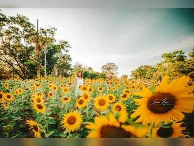 King Rama 9 Park in Phuket