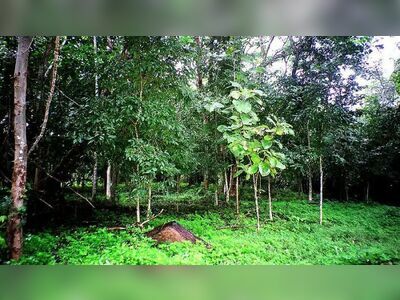 Sai Yok National Park