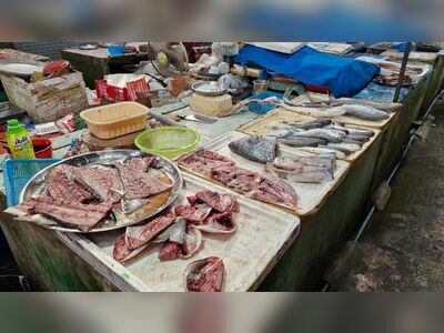 Local food market