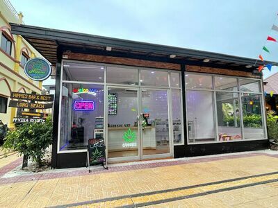 Hippies Land Phi Phi x DANQ Cannabis Dispensary