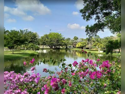 King Rama IX Park, Surat Thani