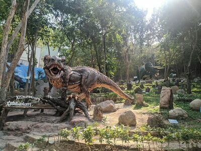 The Thai Island and Sea Natural History Museum