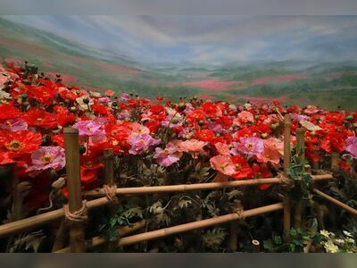 House of Opium Museum