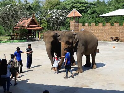 Safari Park in Kanchanaburi