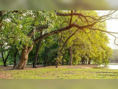 Vajirabenjatat Park (Rot Fai Park)
