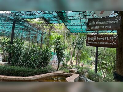 Rock Valley Hot Spring & Fish Spa