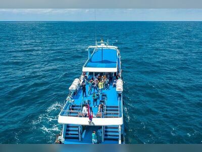 Phi Phi Island To Phuket By Phi Phi Cruiser