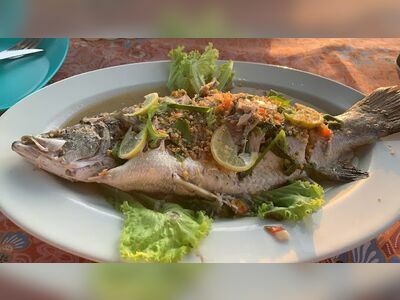 Krit Friendly Bar&Diner