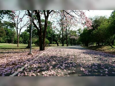 Vajirabenjatat Park (Rot Fai Park)