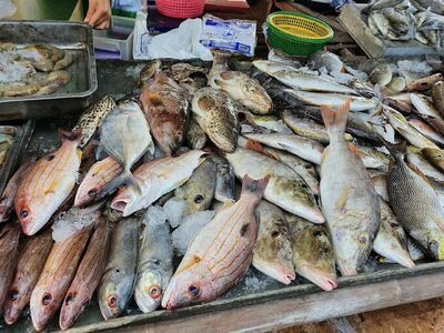 The Thursday Food Market