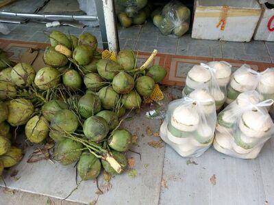 Mai Yod Market