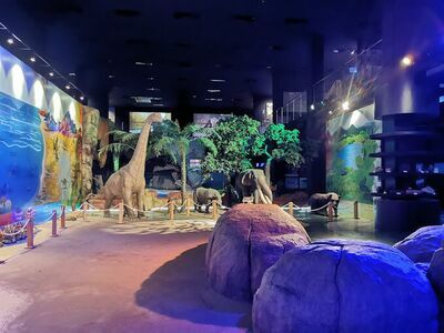 Phun Phin Geology Museum