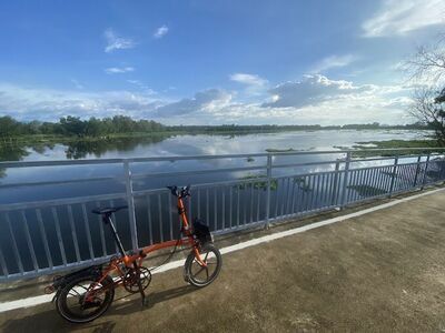 Kung Thelae Wetland