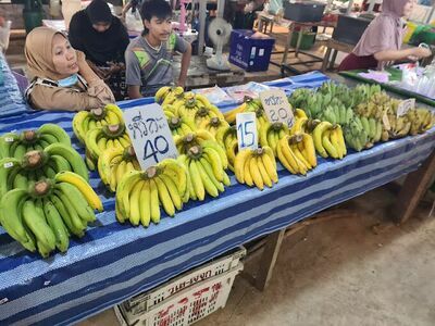 Thursday evening local market