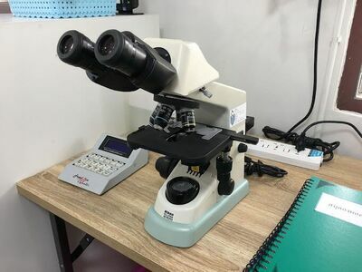 Ayutthaya Laboratory Clinic