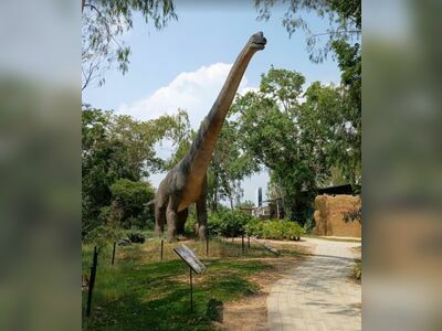 Dinosaur Park Pattaya