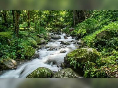 Mae Moei National Park