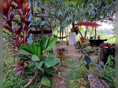 Punfan Park, Bung Khun Thale