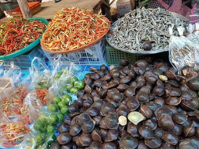 KOH Lanta Monday Market