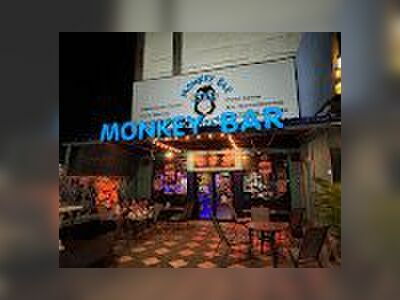Monkey Bar