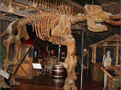 Ripley’s Believe It or Not! Museum Pattaya