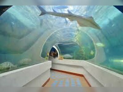Koh Khao Kheow Aquarium
