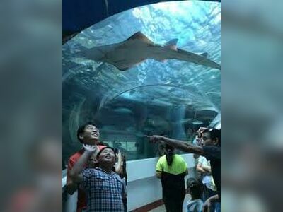 Koh Khao Kheow Aquarium