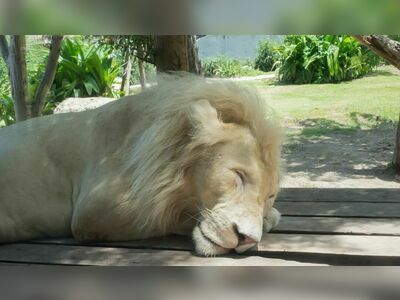 Bang Phra Reservoir and Khao Khiao Open Zoo