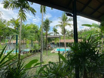 Tiger Park Phuket