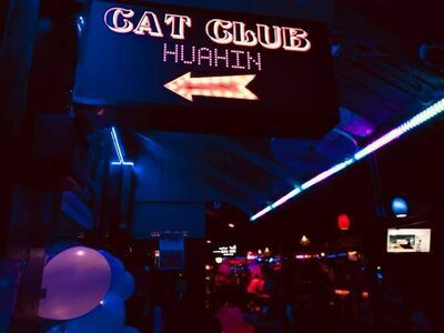 Huahin Cat Club