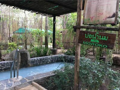 Rock Valley Hot Spring & Fish Spa