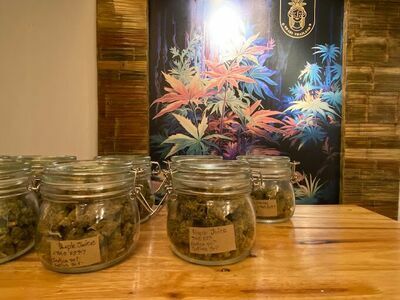 Lanta Highland Saladan Koh Lanta cannabis shop