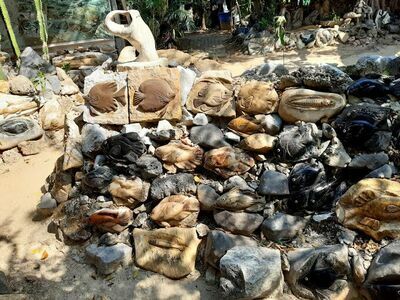 Fish Stone Museum