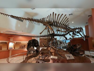 Petrified Wood Museum