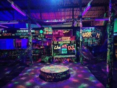 Mushroom Bar