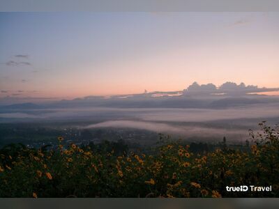 Yunlai sea of ​​fog