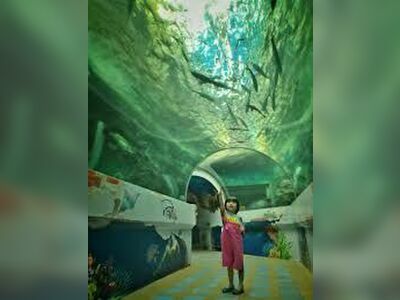 Koh Khao Kheow Aquarium