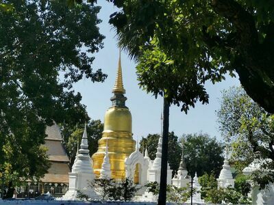 Wat Suan Dok