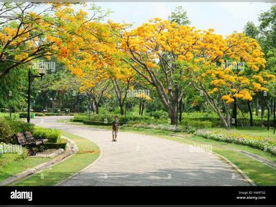 Queen Sirikit Park