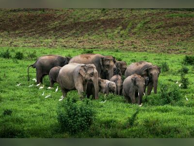 Pranburi Forest Park