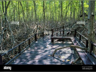 Pranburi Forest Park