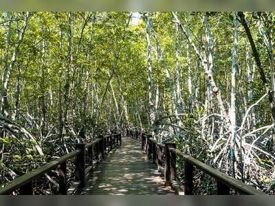 Pranburi Forest Park