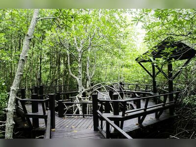 Pranburi Forest Park