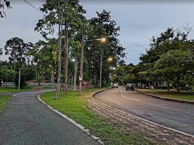 King Rama IX Park, Surat Thani