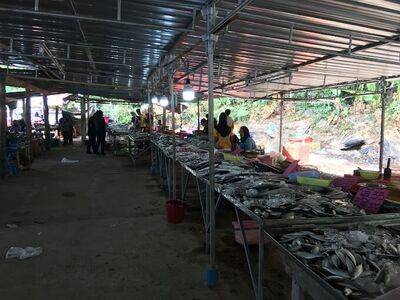 Saturday Market