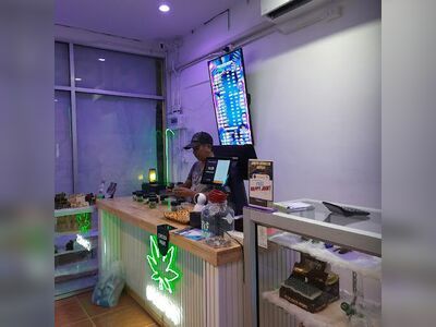 Hippies Land Phi Phi x DANQ Cannabis Dispensary