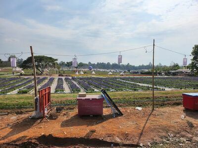 Khon Kaen University Agricultural Technology Park